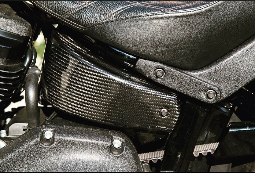 Full Carbon Side Panels Softail M8 2018 Up